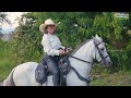 the most stunning women ride horses 🎄 colombia