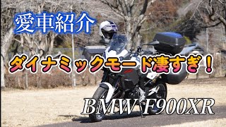 BMW F900XR　愛車紹介　ダイナミックモードは凄かった