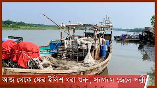 ইলিশ ধরায় নিষেধাজ্ঞা শেষ| ব্যস্ততা বেড়েছে পটুয়াখালী ও চাঁদপুরের জেলে পল্লীগুলোতে 26Oct.21