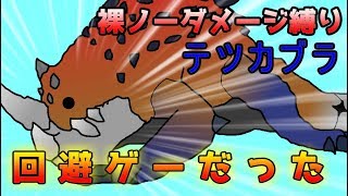 【MHXX HD版】裸ノーダメージ縛り　第三話【ゆっくり実況プレイ】