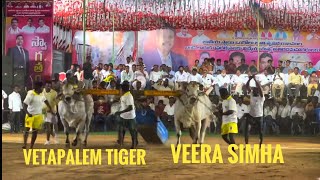 KANDUKURU NEW CATEGORY 2nd PLACE WINNER RK BULLS VETAPALEM TIGER AND VEERA SIMHA