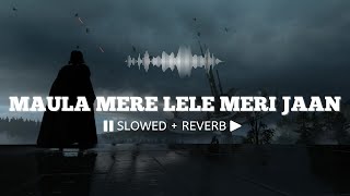 Maula Mere Lele Meri Jaan (Slowed + Reverb) || Krishna || Chak De! India 🎧