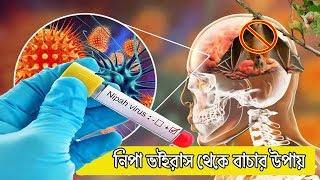 নিপা ভাইরাস কি ? আর এর হাত থেকে বাচার উপায় !  what is nipah virus ?