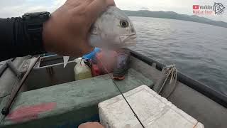 Trip Gasak Lepas Hujan Ribut, Pantang Mundur #jigging #trolling #pitassabah #shimanoreels #bagang