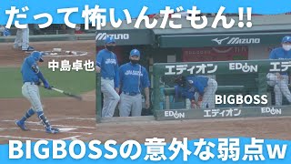 怖いものは怖い!!中島卓也のファウルボールを露骨に警戒する新庄監督が可愛いすぎるww【広島東洋カープVS日本ハムファイターズ】