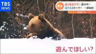 雪山でクマがスキーイントラを猛追、７分間の遭遇で