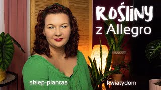 Unboxing * Rośliny z Allegro * sklep-plantas * kwiatydom * Czy przetrwały zimową podróż?