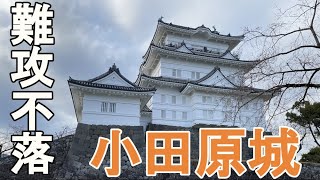 【スマ旅(Vlog)～Let's enjoy Japan‼】小田原城～大パノラマで相模湾を眺める