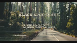 Black Spur Drive | Driving record with DJI Osmo Pocket 4K 30FPS | 黑色马刺车道行车记录 | 大疆口袋灵眸云台相机行车记录 4K 30帧