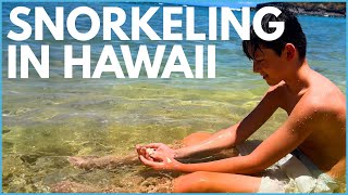Fishy Friends: Snorkeling Adventure in Hawaii
