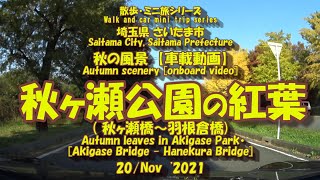 211120【車載動画】【秋ヶ瀬公園の紅葉】　　　　　　　　　　　　　[Onboard video] [Autumn leaves in Akigase Park]