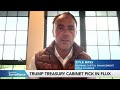 Kyle Bass on Trump's Treasury Pick, China's Stimulus