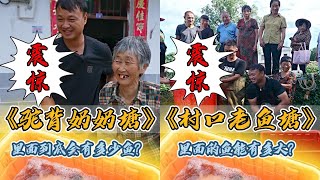 花200元包下老奶奶的老鱼塘，里面竟然有这么多鱼？｜包下78岁老奶奶的鱼塘，最后被奶奶暖到了！｜#户外抓鱼 #户外捕鱼 #大表哥抓鱼 #乡村生活 #农村生活