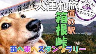 愛犬とフリードスパイクで箱根峠の道の駅に立ち寄りスタンプ押すためだけに伊豆スカイラインの入り口まで行って戻って来る旅