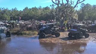 Hogwaller Turkey Bog 2024 (Saturday)