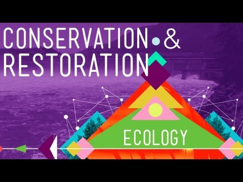 Conservation and Restoration Ecology: Crash Course in Ecology #12