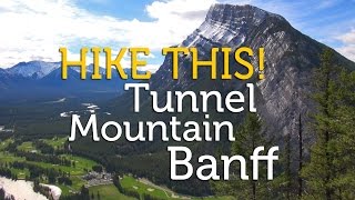 Hike This! Tunnel Mountain in Banff, Alberta, Canada