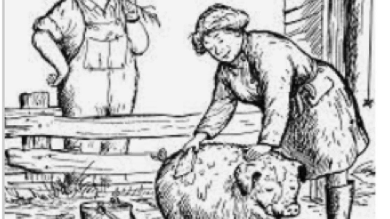 Chapter 16 Charlotte S Web Youtube