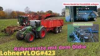 LohnerVLOG#423 Rübenernte 24 I Holmer Terra Dos I Fendt 724 Gen.6 und Krampe TKW 20 I FendtONE Pflug