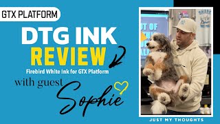 DTG ink review using Firebird DTG ink for GTX platform, DTG printing, GTX prob