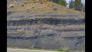 Colorado Coal Seam