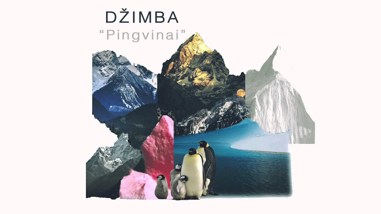 Džimba Pingvinai Youtube