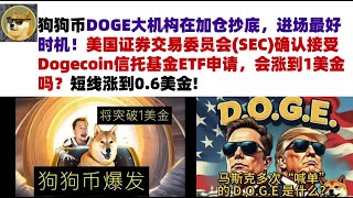 狗狗币DOGE大机构在加仓抄底，进场最好时机！美国证券交易委员会(SEC)确认接受Dogecoin信托基金ETF申请，会涨到1美金吗？短线涨到0.6美金#DOGE币#马斯克狗狗币#DOGE行情分析