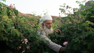 Les gardiens du paradis (documentaire)