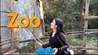 မိသားစုလိုက် တိရစ္ဆာန်ရုံကို လျှောက်လည်ကြမယ်