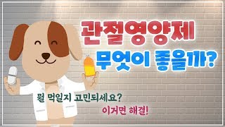 수의사가 추천하는 강아지 관절영양제