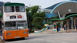 「300訂閱片」（下層展望）Jumbo Bus Hong Kong 前SF15 （CD1446）@珍寶巴士遊 Daimler Fleetline ride 由興華邨開往海洋公園