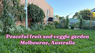 Relaxing midsummer evening garden tour - Melbourne, Australia