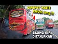 SOPIR BUDIMAN SAMPAI TURUN ?? Edan bus sugeng rahayu jam mepet ngeblong kiri di tanjakan ekstrim