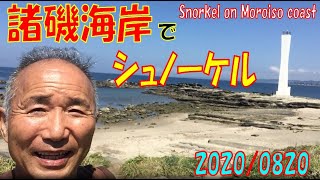 三浦半島・諸磯海岸でシュノーケル20200820　Snorkel