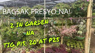 AABANGAN LAGI SA MURA NA 2IN1 GARDEN! #Plantfairyvlogs