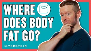 Where Does Body Fat Go? The Science Behind Weight Loss | Nutritionist Explains... | Myprotein