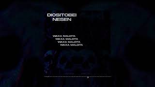 WAXA MALDITA - DIOSITOBEI X NESEN