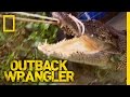 Giant Croc Catch | Outback Wrangler