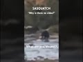 sasquatch video shared by game warden