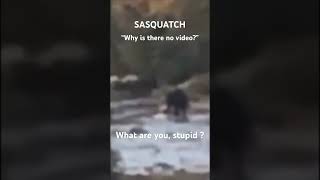 Sasquatch Video Shared By Game Warden