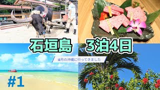 【石垣島 旅行】3泊4日の夫婦旅🌺観光地やグルメで12月の石垣島を満喫する旅！1日目