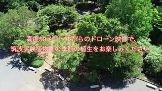 空から見る　筑波実験植物園（初夏）