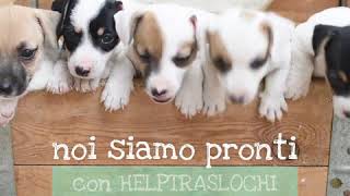 HELPTRASLOCHI - Piccoli Traslochi e Piccoli Trasporti