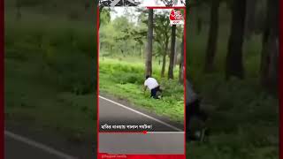 ছবি তুলতে গিয়ে হাতির তাড়া খেয়ে প্যান্ট খুলে যাচ্ছিল পর্যটকের | Viral Elephant Video #youtubeshorts