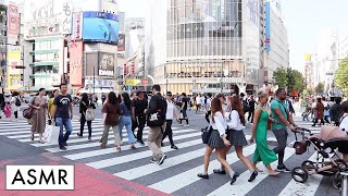 Shibuya Crossing ASMR / 渋谷スクランブル交差点 ASMR (Shibuya ASMR / 渋谷 ASMR) 東京 日本 Tokyo, Japan ASMR