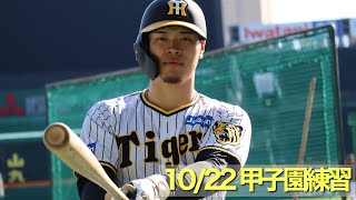 【再始動】#日本シリーズ に向け甲子園球場で再始動した選手たちの練習の様子をお届けします！！