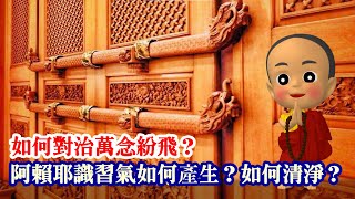 阿賴耶識習氣如何產生？如何清淨？如何對治萬念紛飛？ - 洛本天津仁波切【學佛釋疑】＃42－淺說密續(八) - 山中傳奇2023.05.20