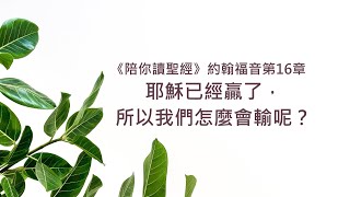 約翰福音16章/陪你讀聖經《耶穌已經贏了，所以我們怎麼會輸呢？》