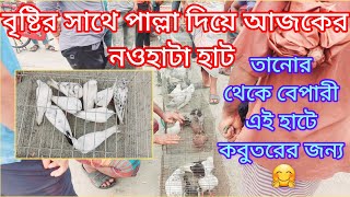 ০৭ আগস্ট ২০২৩ | রাজশাহীর লোকাল গিরিবাজ এবং বিভিন্ন ফেন্সি কবুতরের দাম জানুন নওহাটা হাট থেকে রাজশাহী।