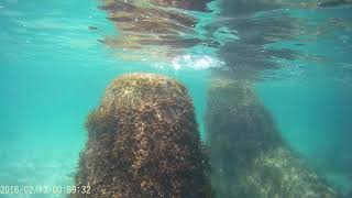 水中映像２　竹野浜　テトラ付近